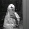user781108551992062