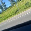 reitlfgdper