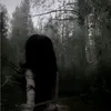 ir_v12