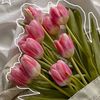maryaahmed136
