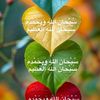 jamalaliahmd550