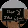 user8408178371005