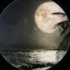 maher_884
