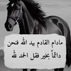 user56803903403916