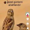yunesxdri7