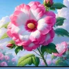 gm.abukalam