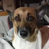 takatakaindia