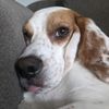 cooper.scooper88