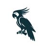 parrot