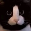 songamer25