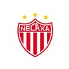 touchfootballnecaxa