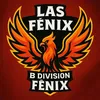 2dvsdaslasfenix