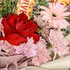 softysky8_