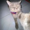 mg.thiha689
