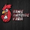 Bang Antong Farm