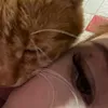 jenka_malek