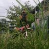 user597139890