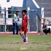 dino_3936