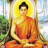 tuengnhujk6