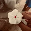 ailanylauriola45
