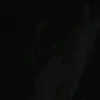 h4na195
