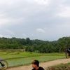 5d9menolakpunah.01