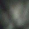 user4243977803924