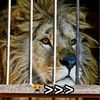 hewad.afghan688