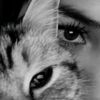 chlfawiya.bb