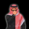 rehanc80