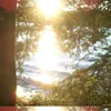 htramn0177w