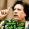 user6200113493063