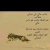 user4749791394207
