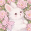 chichumeowi