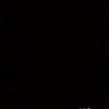 shey_8902