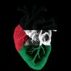 allh1a1