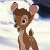 user.jeyda