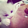 cutepiee.00_
