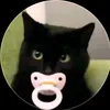 .qv.t