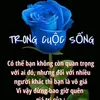 ngocbich9481