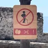 bomaydangbuonok