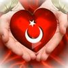 asena4831