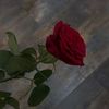 aydan.quliyev21