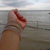 joti.mollik