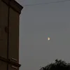 أَبيدُسиكْ