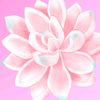 deirf_noitatum