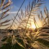 nature3735