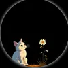 user5132609251522