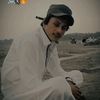 haseeb232378