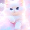 amal807799